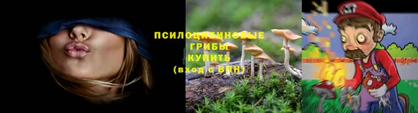 mdpv Няндома
