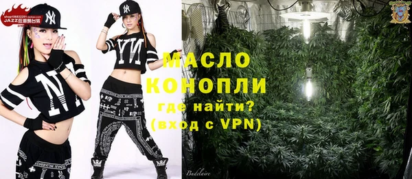 молекула духа Нязепетровск